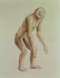Ramapitek